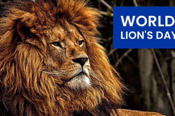 World Lion's Day